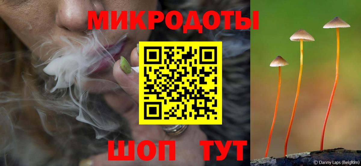 Артём  Псилоцибиновые грибы прущие грибы  сколько стоит  Вход с VPN 